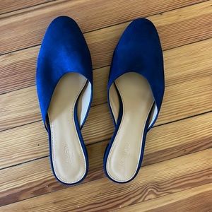 Blue suede block heel shoes